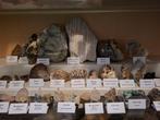 Collection de minéraux de plus de 40 pièces- 2000 g, Verzamelen, Mineralen en Fossielen