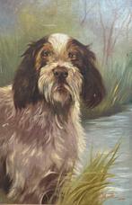 Mario Norfini (1870-1956) - Cane, Antiek en Kunst