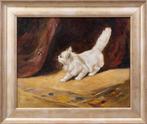 Arthur Heyer (1872-1931) - The Curious Cat, Antiek en Kunst, Kunst | Schilderijen | Klassiek