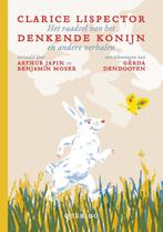 Het raadsel van het denkende konijn en andere verhalen, Boeken, Kinderboeken | Jeugd | onder 10 jaar, Clarice Lispector, Zo goed als nieuw