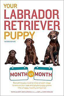Your Labrador Retriever Puppy Month by Month, 2nd...  Book, Livres, Livres Autre, Envoi