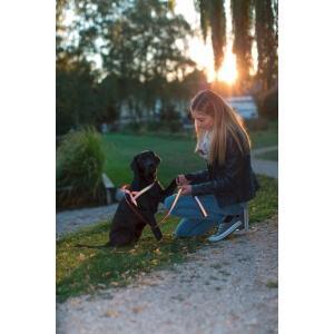 Harnais norvégien pour chien réfléchissant, 20mmx65-85cm, Animaux & Accessoires, Accessoires pour chiens
