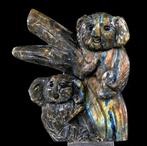 Koala en labradorite merveilleux perché sur une branche -