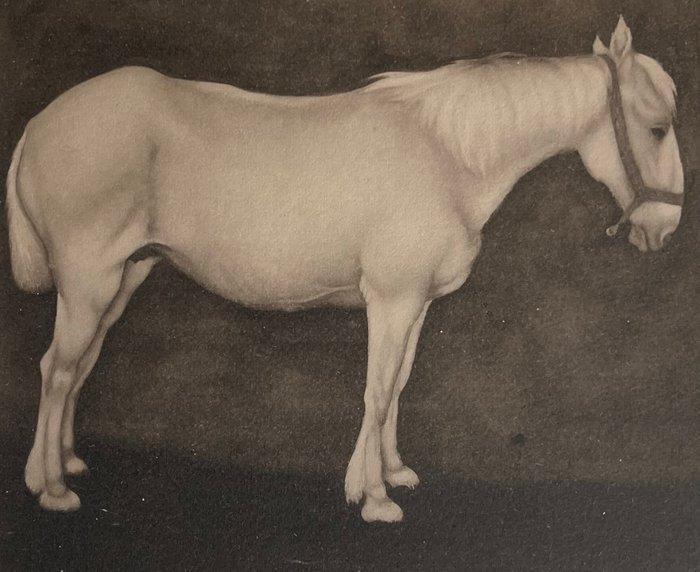 Jan Mankes (1889-1920) - Wit paard, Antiquités & Art, Antiquités | Autres Antiquités
