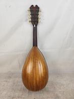 Giuseppe vinaccia 1880 - Napoletano - - Mandoline - Italie -, Nieuw