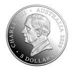 Australië. 1 Dollar 2026 – RAM Koala – 1 oz Silver – 1