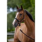 Licol topline - black - pony, Dieren en Toebehoren, Paarden en Pony's | Overige Paardenspullen, Nieuw
