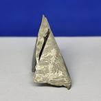 Endcut- IJZER METEORIET, Aletai (China, 1898) Widmanstätten, Verzamelen, Mineralen en Fossielen