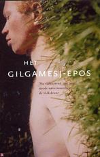 Het Gilgamesj-epos 9789026319341, Boeken, Frank Westerman, Zo goed als nieuw, Verzenden