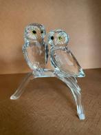 Swarovski - Beeldje - Zeldzame Uilen uit 2009 - 1003312 -