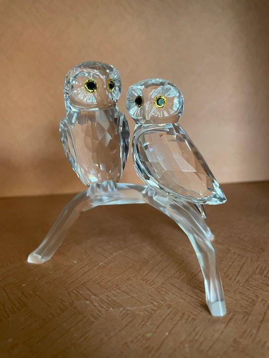 Swarovski - Beeldje - Zeldzame Uilen uit 2009 - 1003312 -, Antiquités & Art, Curiosités & Brocante
