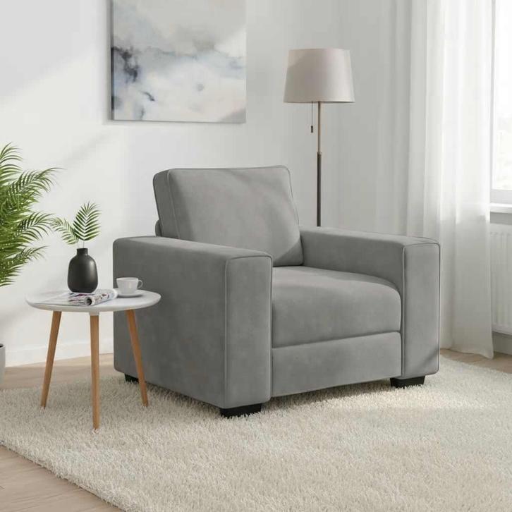 vidaXL Fauteuil 60 cm fluweel lichtgrijs, Huis en Inrichting, Zetels | Zetels, Nieuw, Verzenden