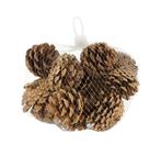 Dennenappels Pinecone 13x3x9cm nature 200gr, Nieuw