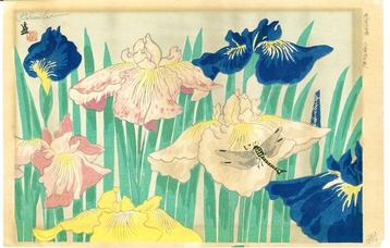 Hanashobu() - Tokuriki Tomikichiro(1902–2000) -