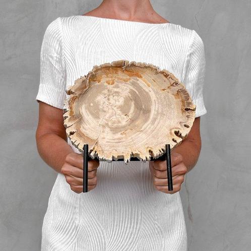 Prachtig stukje versteend hout op een op maat gemaakte, Antiek en Kunst, Kunst | Designobjecten