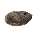 Beeldje - Bear - Brons, Marmer