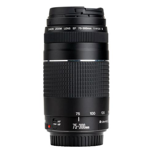 Canon EF 75-300mm F/4-5.6 III met garantie, Audio, Tv en Foto, Foto | Lenzen en Objectieven, Verzenden