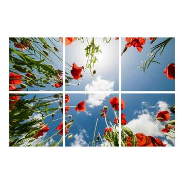 Klaprozen plafond Fotoprint verdeeld over 6 panelen 60x60 cm beschikbaar voor biedingen