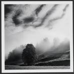 Frank Machalowski - Steiermark