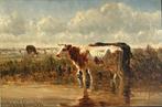 Helmert Richard Van Der Flier (1827-1891) - Cattle in a, Antiek en Kunst, Kunst | Schilderijen | Klassiek