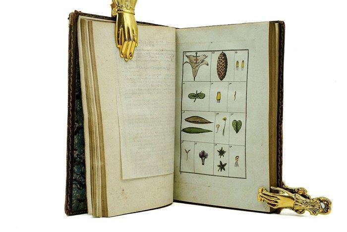 J. C. Philibert - Dictionnaire abrégé de botanique, Faisant, Antiek en Kunst, Antiek | Boeken en Manuscripten
