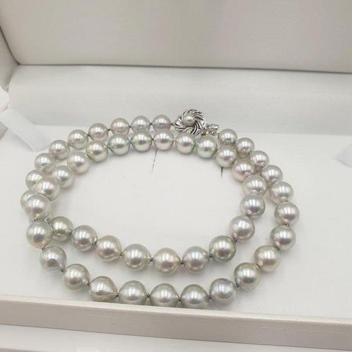 Zonder Minimumprijs - Halsketting Zilver - Akoya parel 8,5, Handtassen en Accessoires, Kettingen