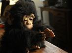 Hasbro - Automaat - Baby chimpanseé automaat