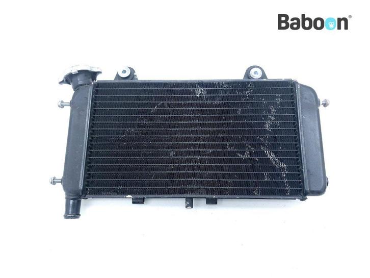 Radiateur Yamaha MT 03 2006-2013 (MT03 MT-03), Motoren, Onderdelen | Yamaha, Verzenden
