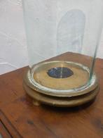 Globe - stolp - antiek - 1901-1920 - Antieke ronde stolp, Antiek en Kunst