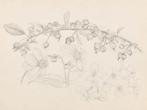 Anton Pieck (1895-1987) - Study of flowers and plants, Antiek en Kunst