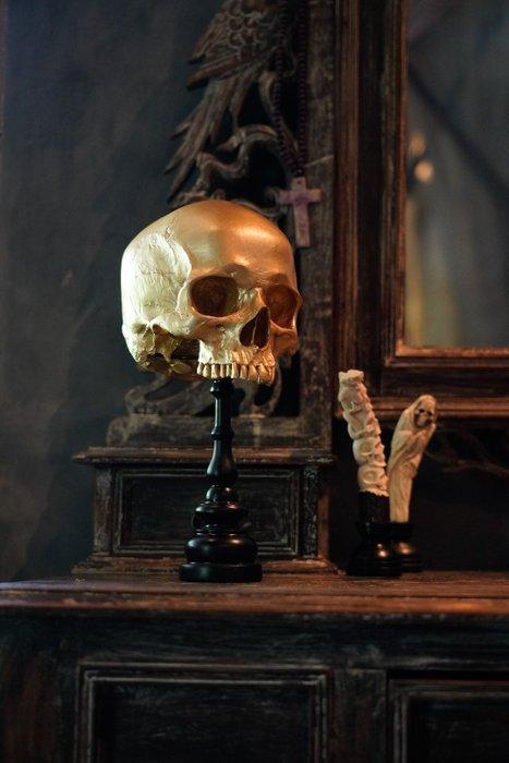 NO RESERVE PRICE - Stunning Replica Of Upper Human Skull on, Antiek en Kunst, Kunst | Designobjecten