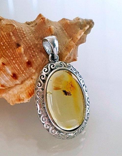 Zeldzaam natuurlijk Baltisch amber hanger met fossiele, Verzamelen, Mineralen en Fossielen