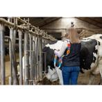 Numéro pour collier duo chiffre 7 gris - kerbl, Zakelijke goederen, Landbouw | Veevoer