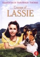 Courage of lassie op DVD, Verzenden