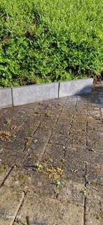 Natuurstenen palissaden Jinin Stone - 50x16x5 cm, Tuin en Terras, Ophalen, Nieuw, Terrastegels, Natuursteen