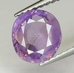 1 pcs Violet Saphir - 1.78 ct - Antwerp Laboratory for, Nieuw
