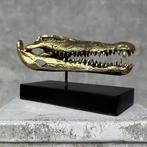 Crocodile marin Crâne - No Reserve Price - Polished Bronze, Verzamelen, Nieuw