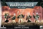 Dark Angels Deathwing Company Veterans (Warhammer 40.000, Hobby & Loisirs créatifs, Ophalen of Verzenden