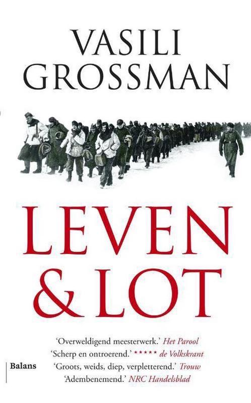 Leven en lot 9789460034978 Vasili Grossman, Boeken, Romans, Zo goed als nieuw, Verzenden