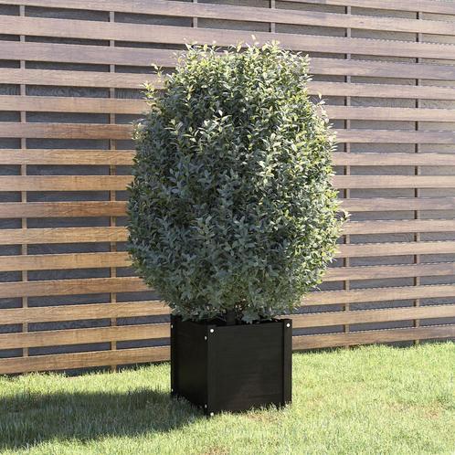 vidaXL Plantenbak 40x40x40 cm massief grenenhout zwart, Tuin en Terras, Bloempotten, Nieuw, Verzenden