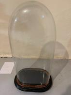 Globe - 1901-1920 - een glazen koepel, Antiquités & Art