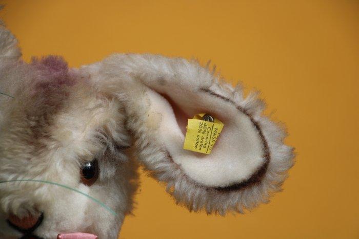 Steiff Dralon Haas, 1968 - Teddybeer - 1960-1970 - Duitsland, Antiek en Kunst, Antiek | Speelgoed