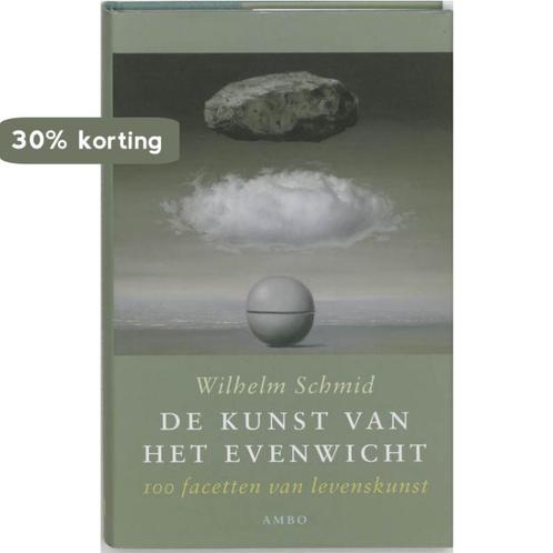 De Kunst Van Het Evenwicht 9789026319280 Wilhelm Schmid, Livres, Philosophie, Envoi