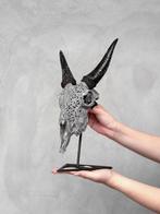 Pas de prix de réserve - Crâne de chèvre gravé gris