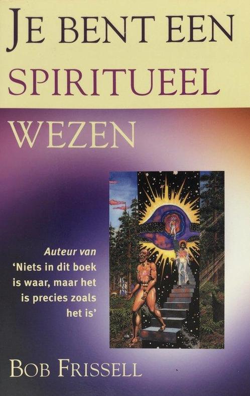 Je Bent Een Spiritueel Wezen 9789038912615, Livres, Ésotérisme & Spiritualité, Envoi
