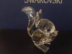 Swarovski - Beeldje - Squirrel 5135941 - Kristal