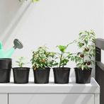 vidaXL Bloempot 200 pcs Zwart Ø 15 x 12,5 cm Kunststof, Tuin en Terras, Verzenden, Nieuw