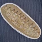 Big fossil mosasaur jaw - Gefossiliseerde kaak - Mosasaurus, Verzamelen