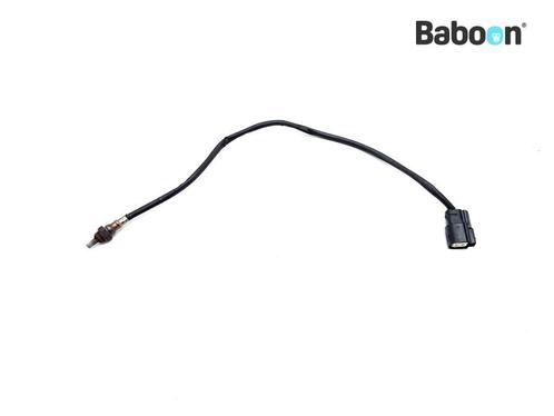 Lambda Sonde Harley-Davidson XL 883 L Sportster SuperLow, Motoren, Onderdelen | Harley-Davidson, Gebruikt, Verzenden