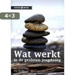 Wat werkt in de gesloten jeugdzorg? 9789088501081, Boeken, Studieboeken en Cursussen, Verzenden, Gelezen, Peer Van Der Helm